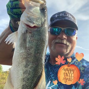 Meet your Posher, Barry